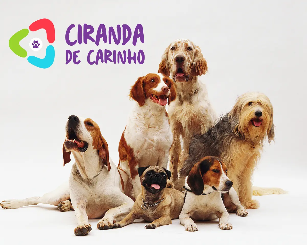 Pets da Ciranda de Carinho