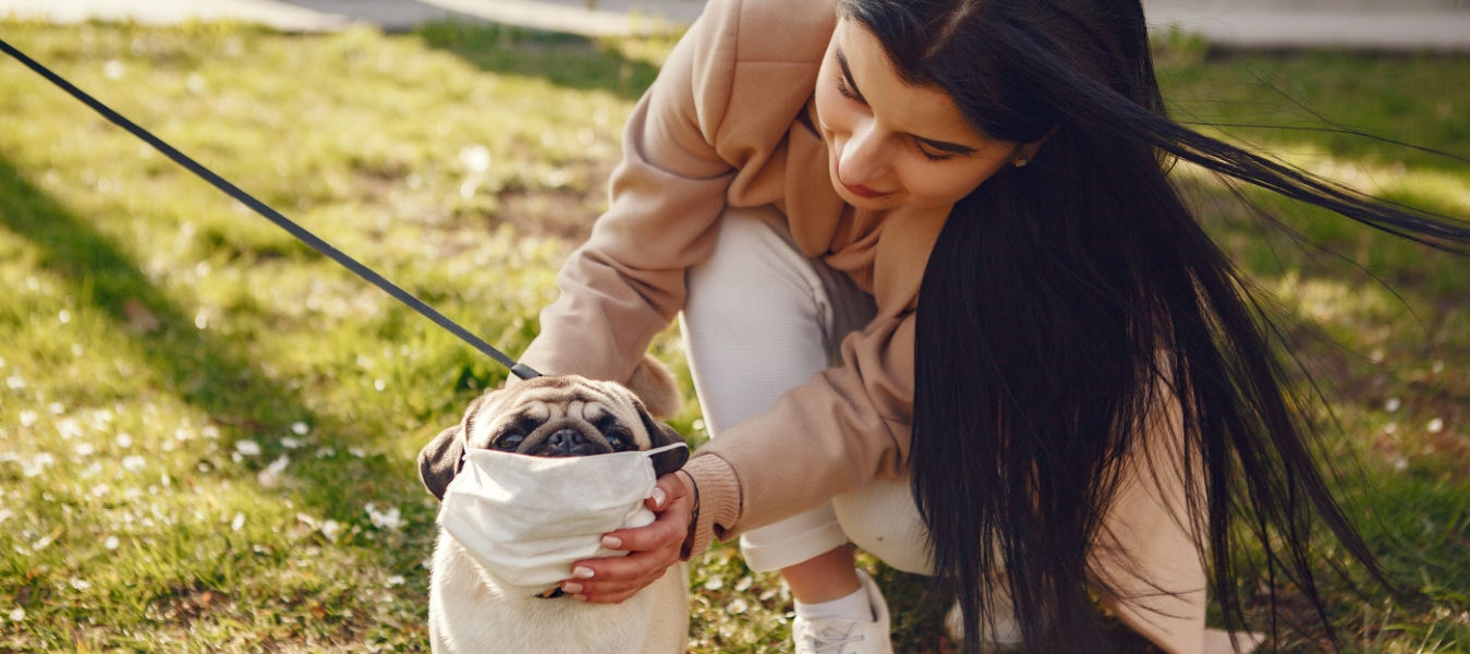 Cachorros e gatos podem pegar o novo coronavírus?
