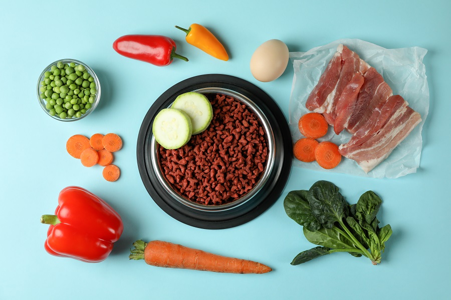 Alimentos naturais e pote de ração em cima da mesa, com fundo azul