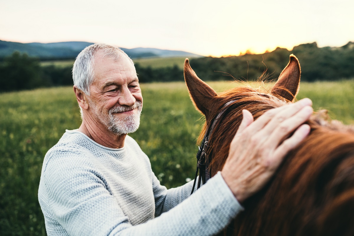 Entenda os sinais que os cavalos enviam pelas orelhas