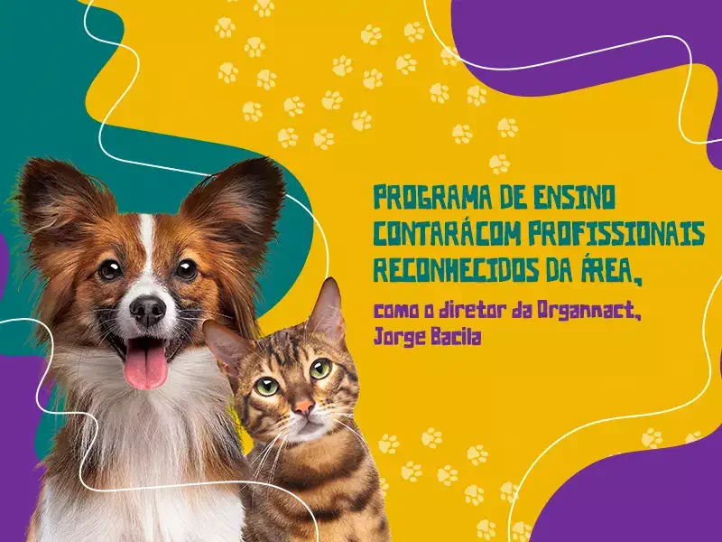 Curso inédito sobre o mercado pet é lançado em Curitiba