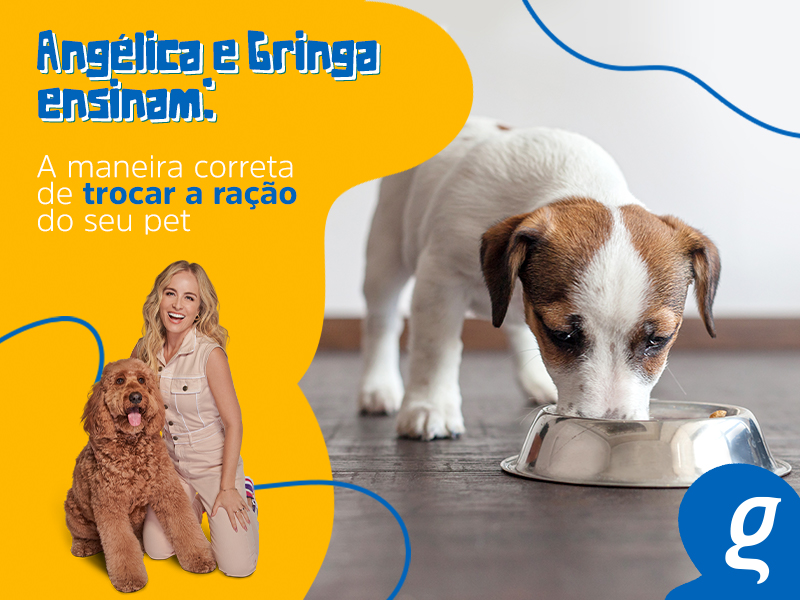 Angélica e Gringa ensinam: qual a maneira correta de trocar a ração do seu pet