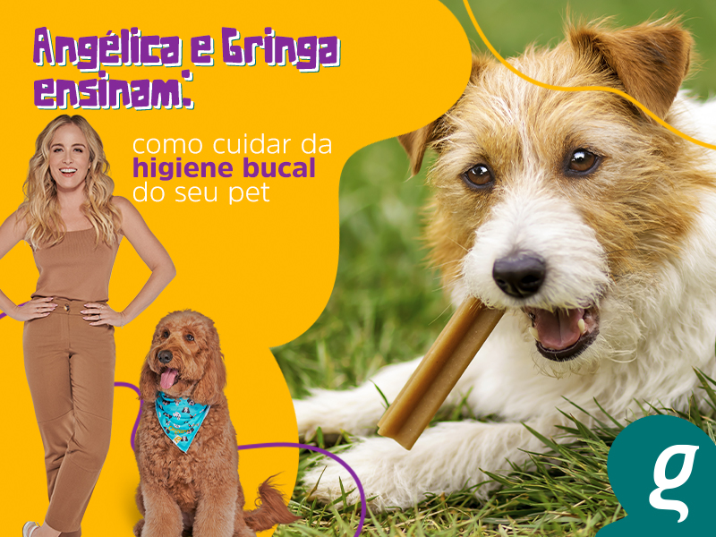 Angélica e Gringa ensinam a cuidar da higiene bucal do seu pet