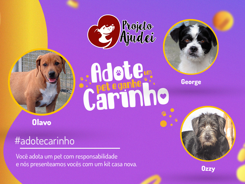 Adote um pet e ganhe carinho: conheça os pets do Projeto Ajudei