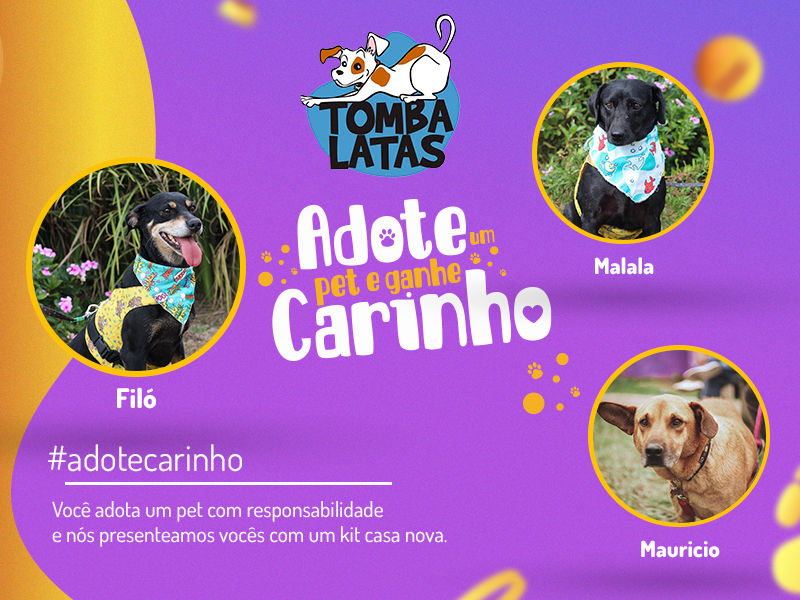 Adote um pet e ganhe carinho: conheça os pets da Tomba Latas
