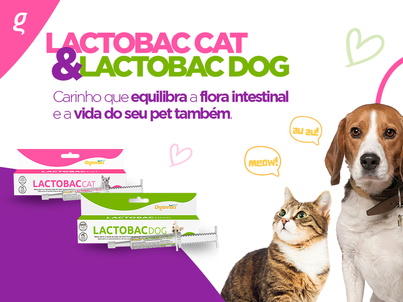Conheça o Lactobac Cat & Lactobac Dog