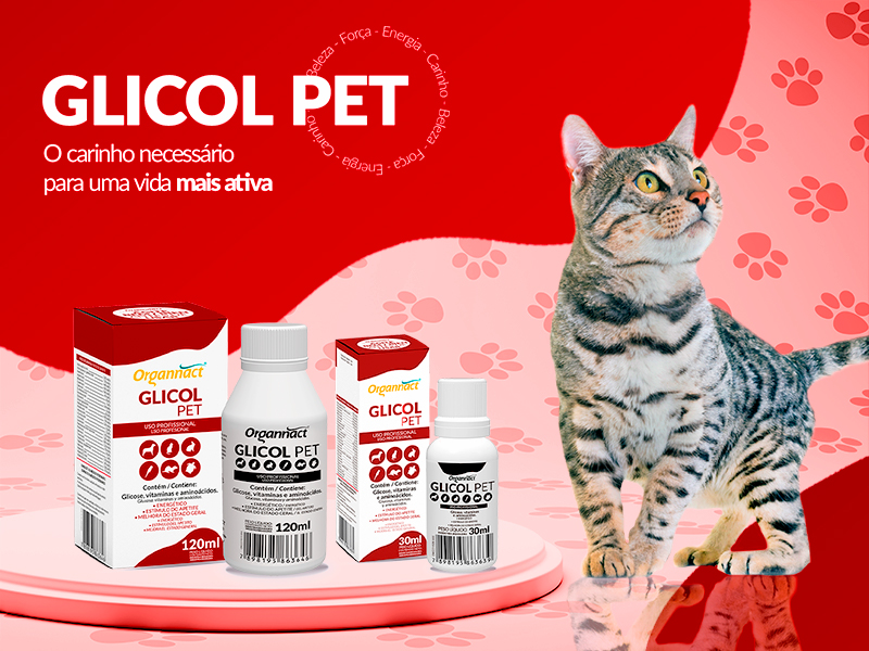 Glicol Pet: o carinho necessário para uma vida mais ativa