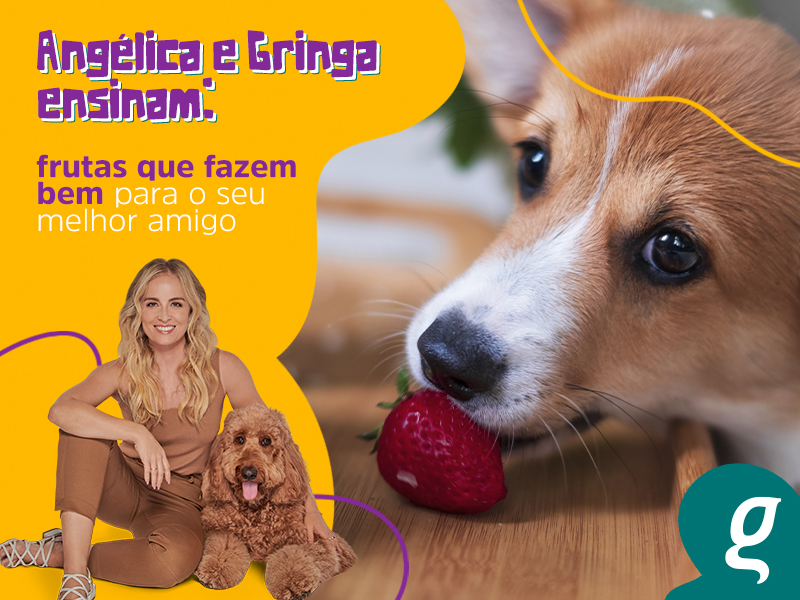 Angélica e Gringa ensinam: quais frutas fazem bem para o seu cachorro?