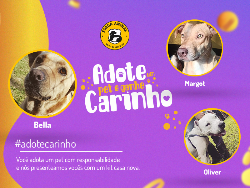Adote um pet e ganhe carinho: conheça os pets do Grupo Força Animal
