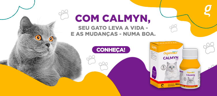 Com Calmyn seu gato leva a vida - e as mudanças - numa boa.