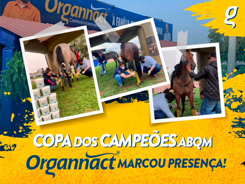 Copa dos Campeões ABQM