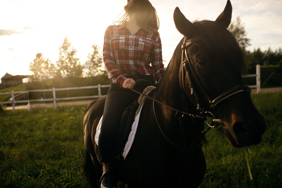 Cavalo preto