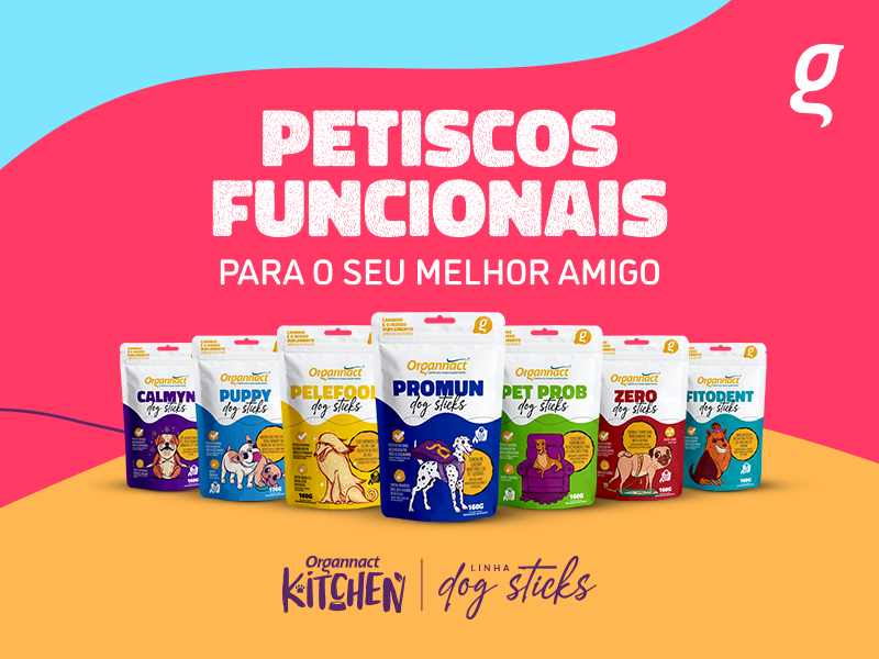 Conheça Dog Sticks