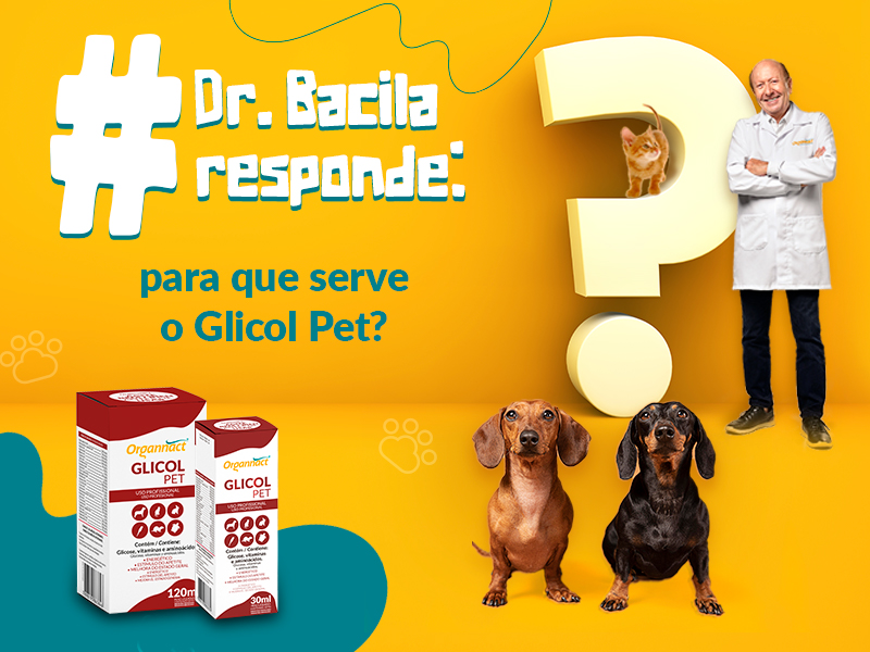 Dr. Bacila responde: o que é o Glicol Pet?