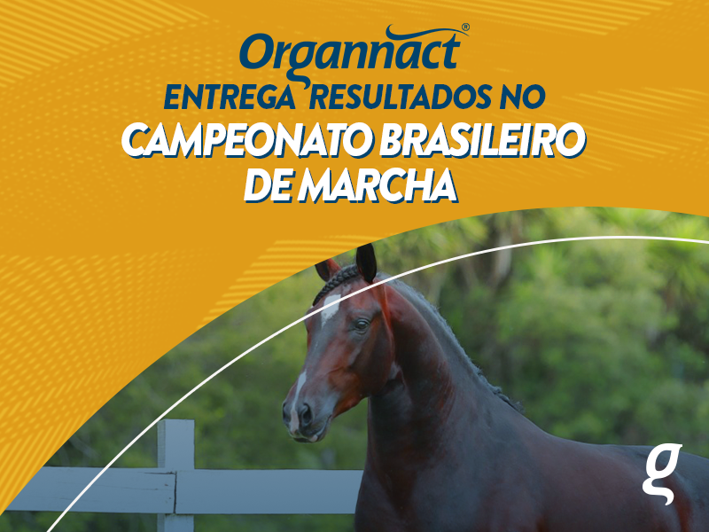 Organnact entrega resultados no Campeonato Brasileiro de Marcha