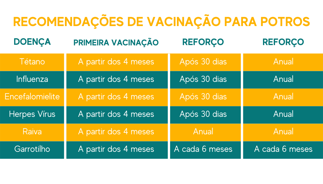 Vacinação para potros