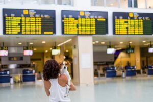 viajar com cachorro de avião