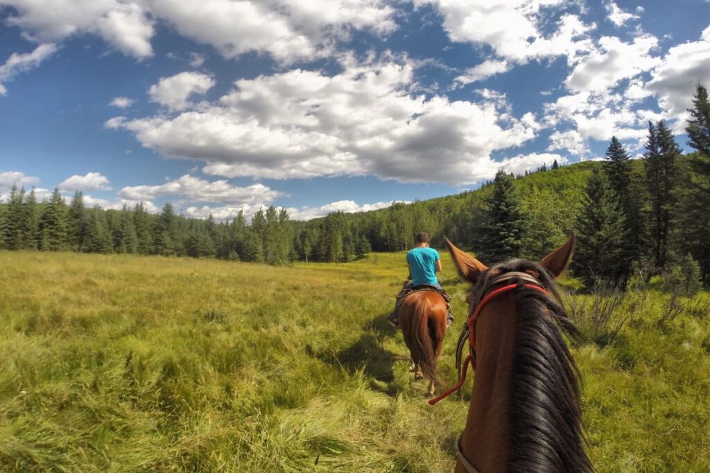 andar a cavalo