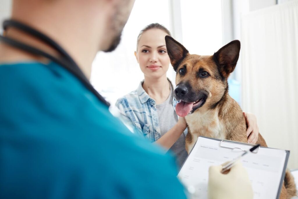 veterinário nutricionista