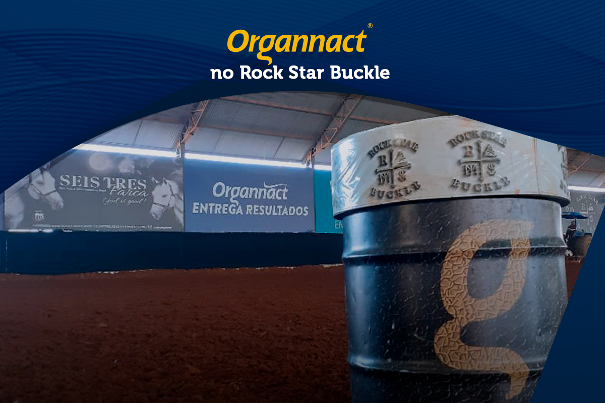 Presença confirmada da Organnact no Rock Star Buckle