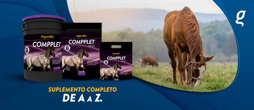 vitaminas para cavalo compplet max organnact