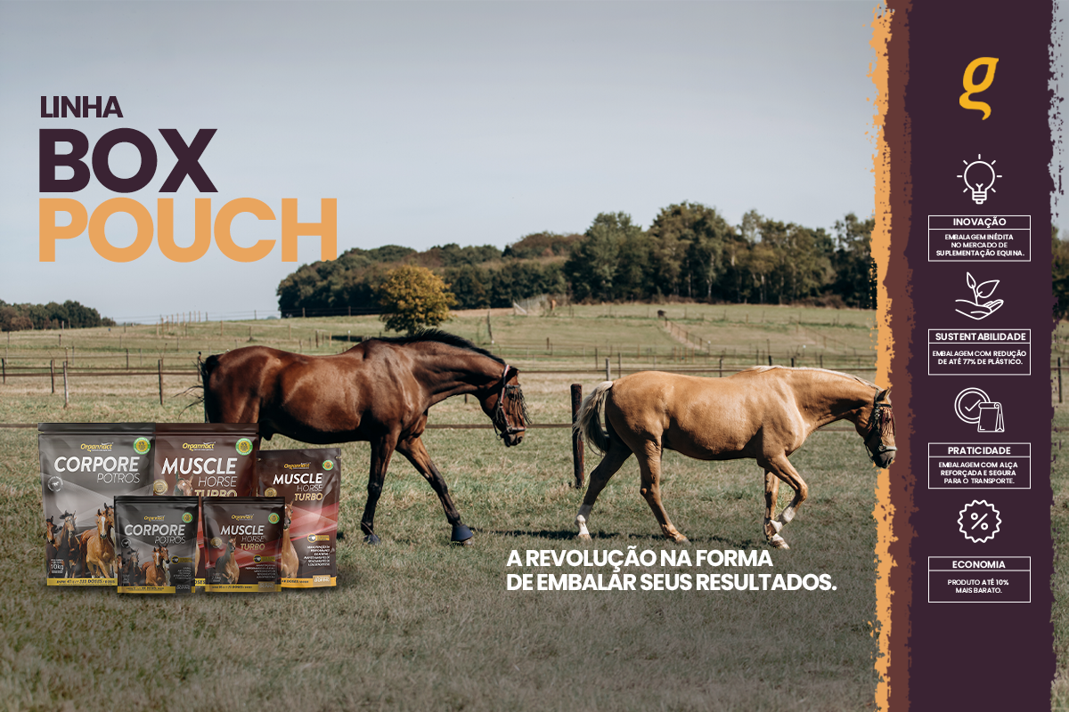 Linha Box Pouch – A revolução na forma de embalar seus resultados