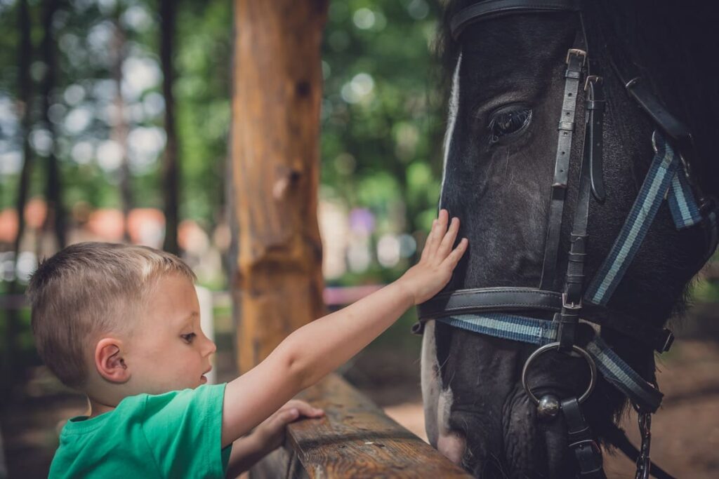 cavalos e crianças