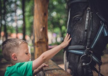 cavalos e crianças