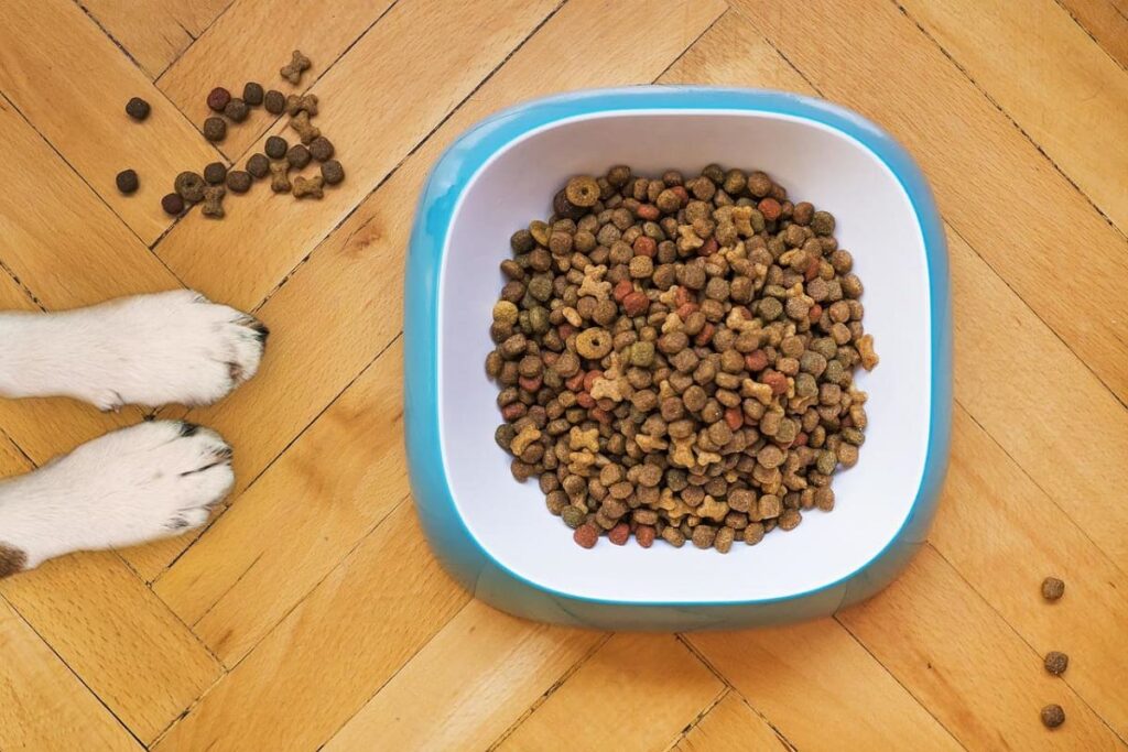 ração faz mal para cachorro