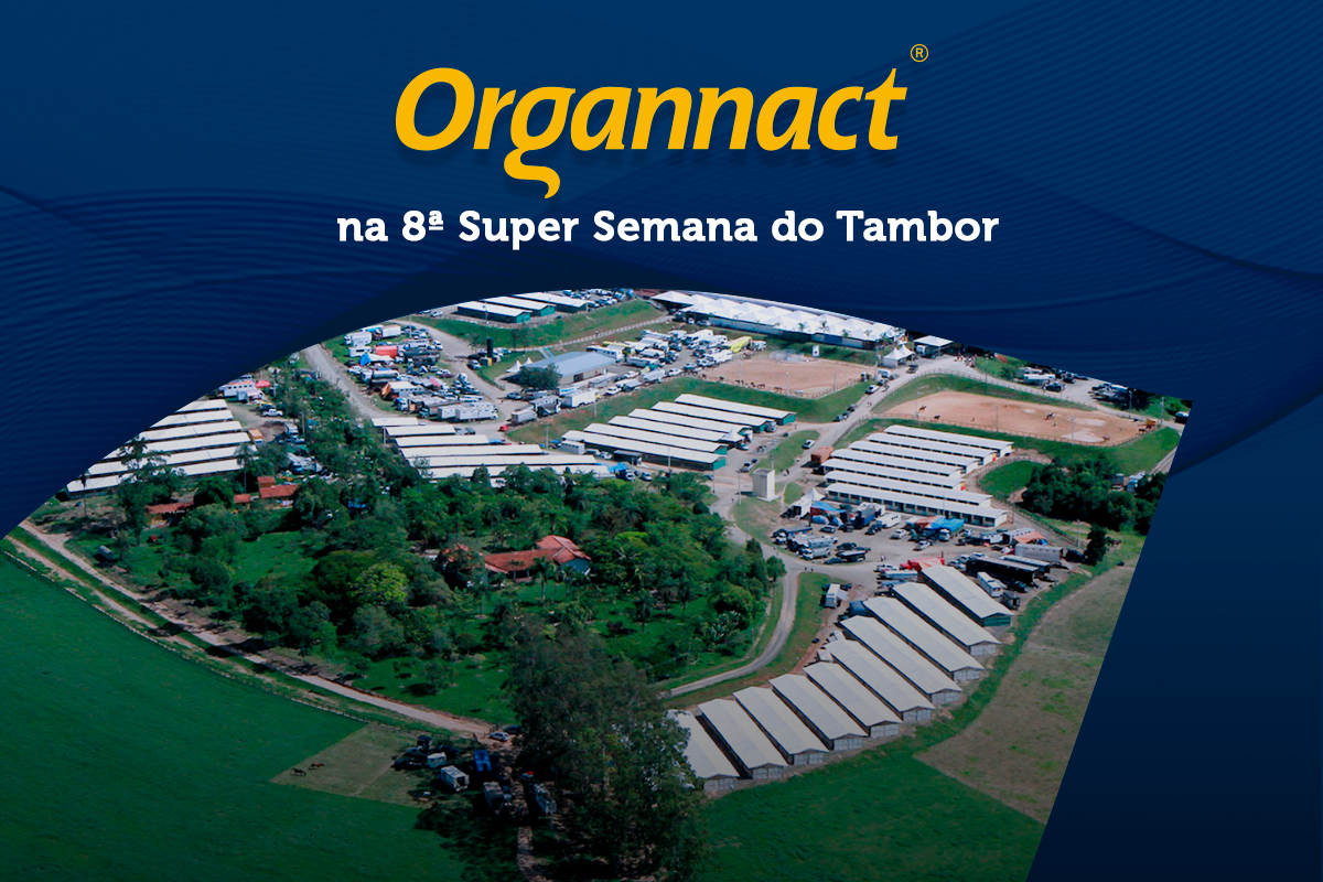 Organnact na 8ª Super Semana do Tambor: essa competição que é sucesso