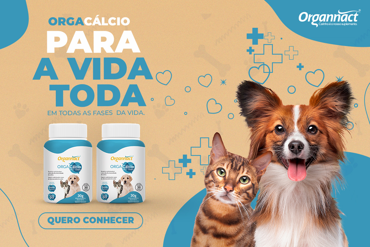 OrgaCálcio: suplemento para cachorro e gato em todas as fases da vida