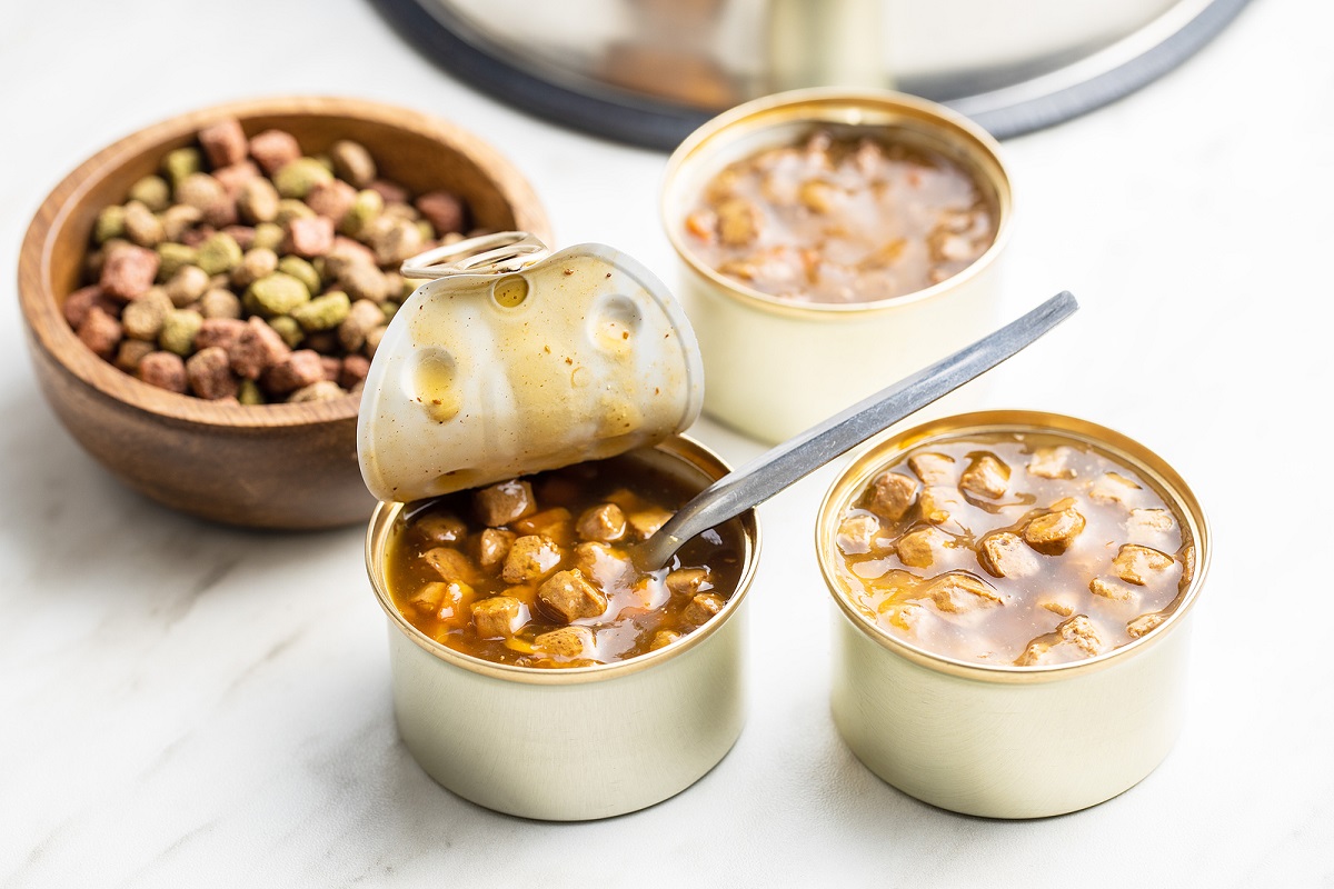 Comida enlatada para pets é saudável?