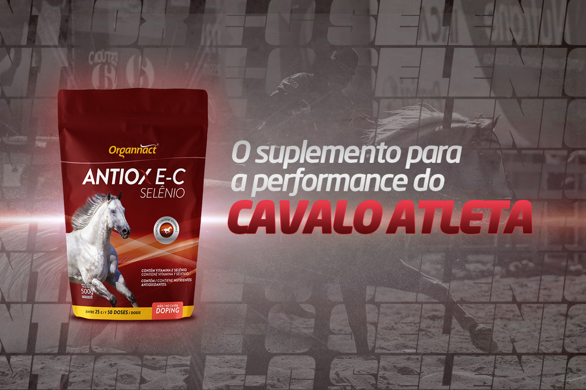 Estresse oxidativo e a importância dos antioxidantes para cavalos atletas