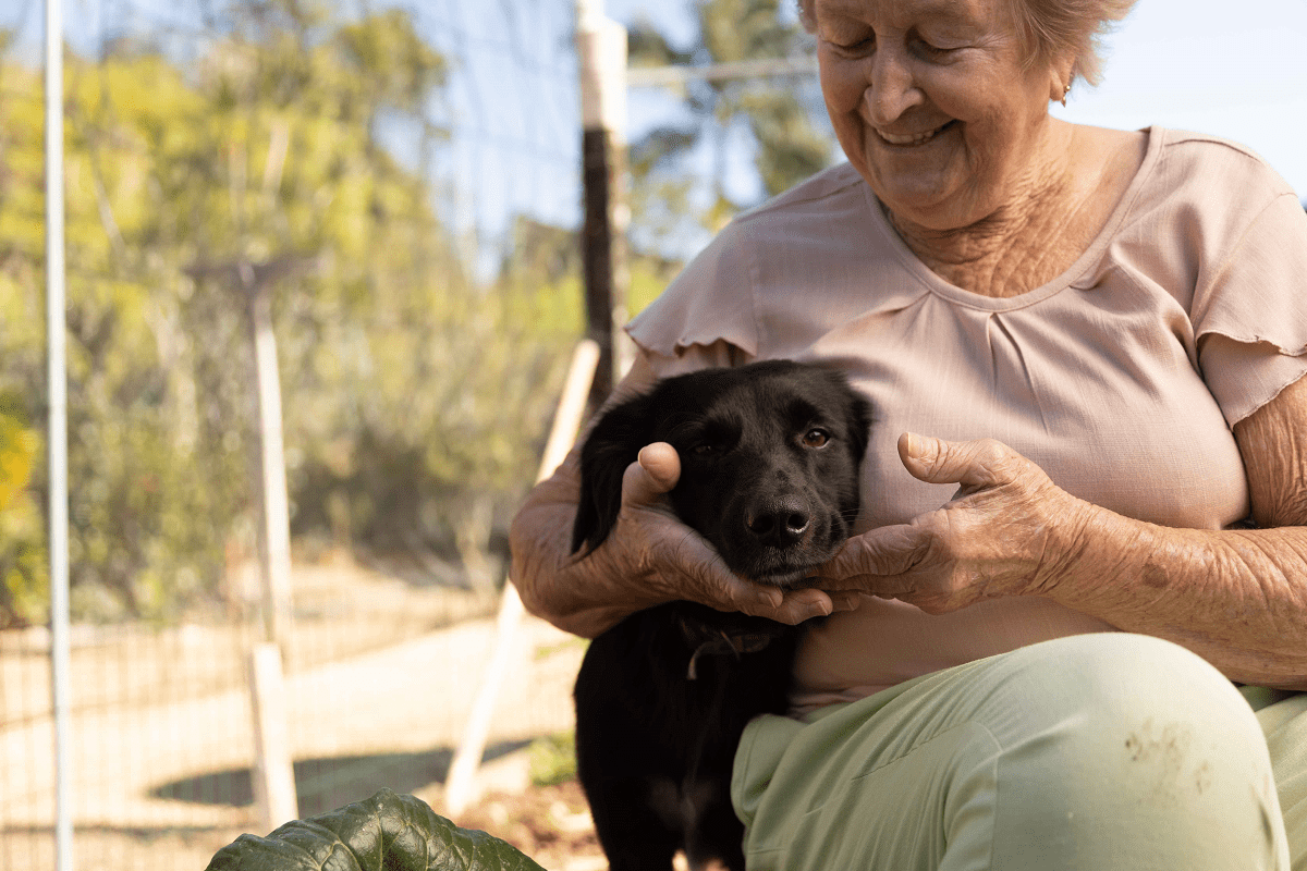 Animais de companhia em asilos: benefícios dessa convivência