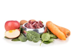 dieta natural para cães