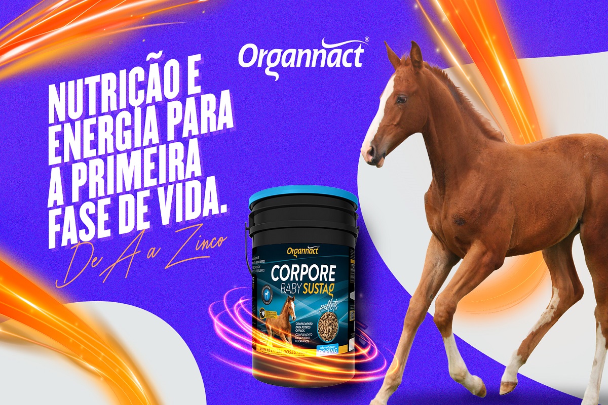 Novo suplemento para potros: Corpore Baby Sustag