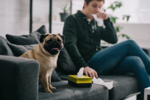 pessoa com alergia ao pelo do pet