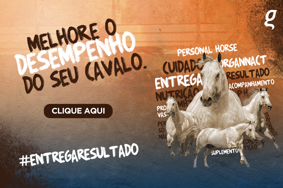 Personal Horse: mais do que um treinador de cavalos