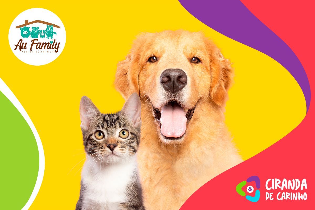 ANJOS DA CIRANDA – conheça de perto o trabalho do AuFamily