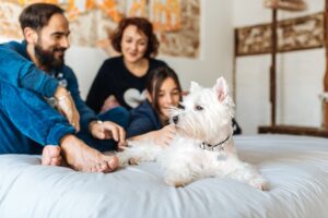 dar cachorro de presente