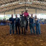 eventos equestres