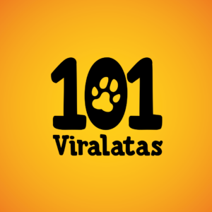 anjos da ciranda - ong 101 viralatas