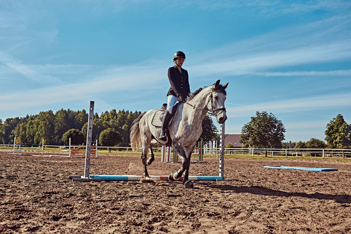 Por que suplementar seu equino campeão?