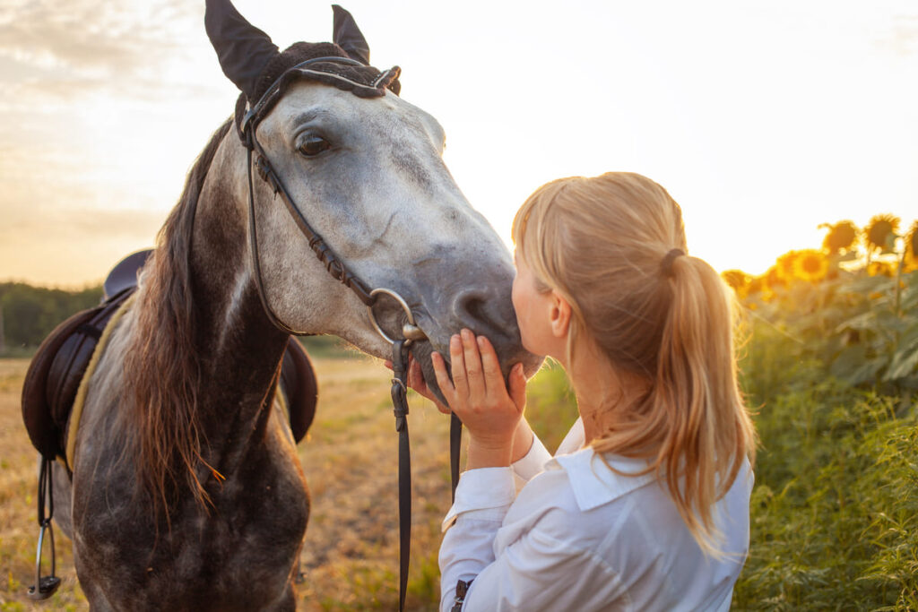 personal horse