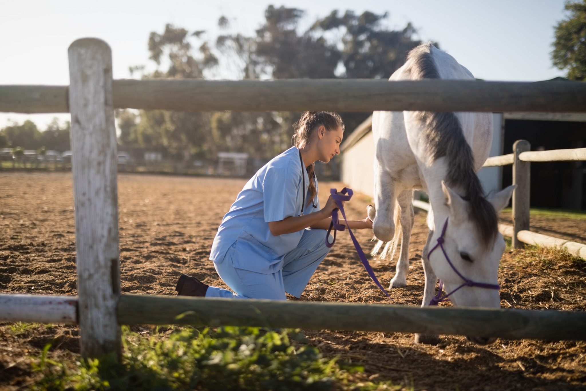 Entenda as lesões e seus graus de contaminação.