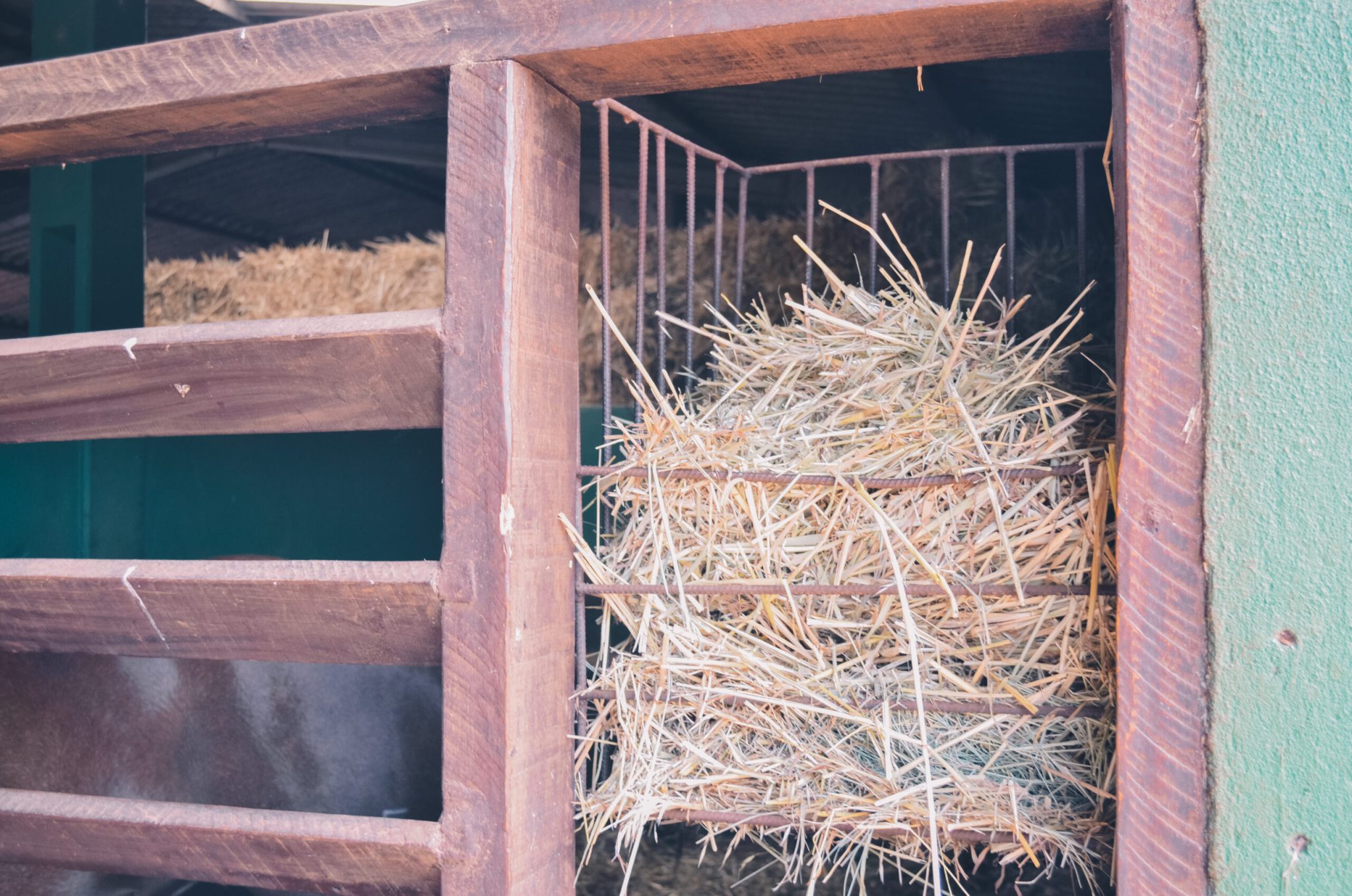 Você conhece o sistema Slow Feeder?