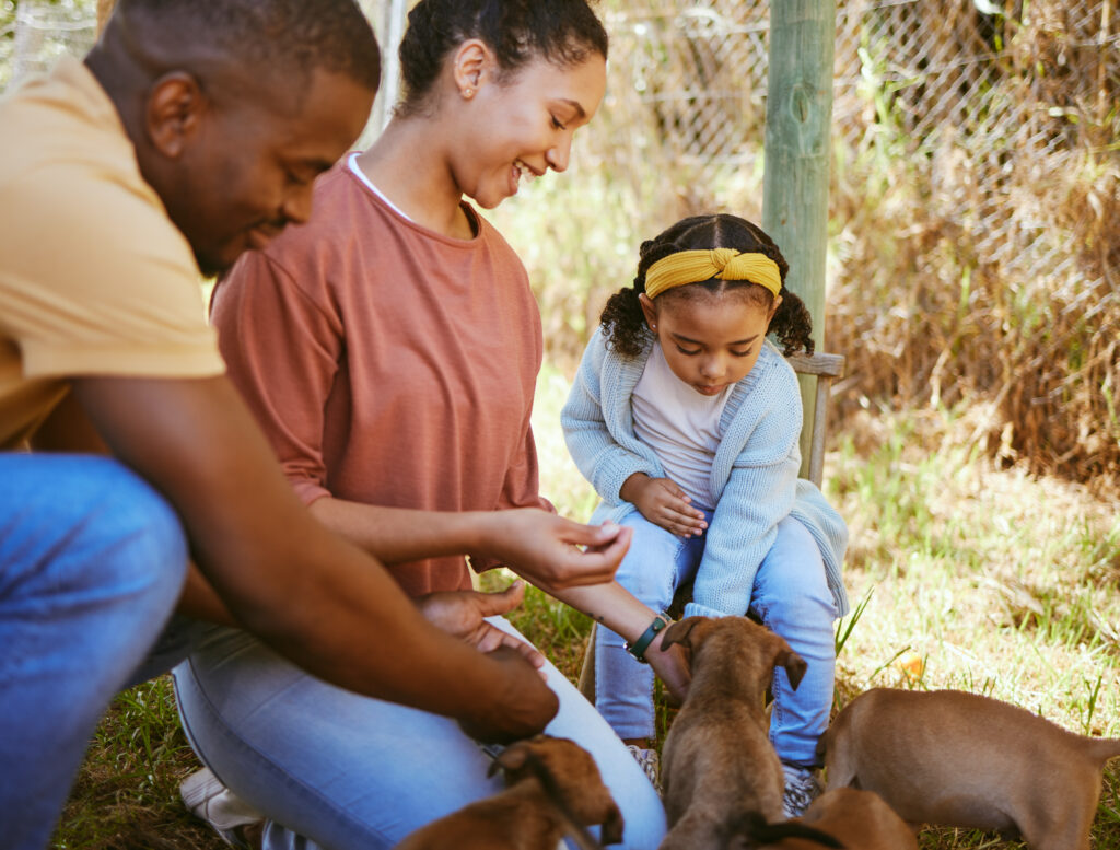 família negra interagindo com filhotes de cães