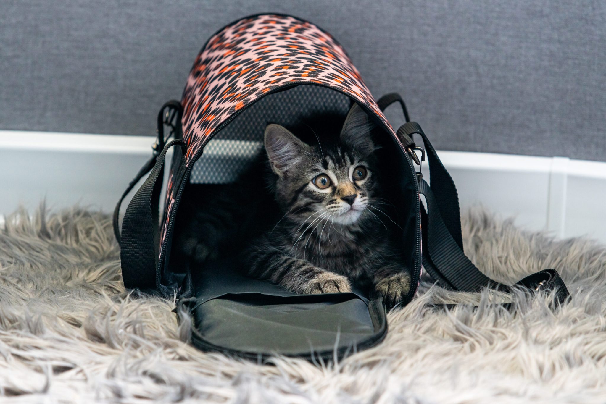 Vai viajar durante as férias?