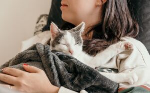 gato de pelagem branca e cinza enrolado na coberta no colo de uma mulher branca e cabelo preto.