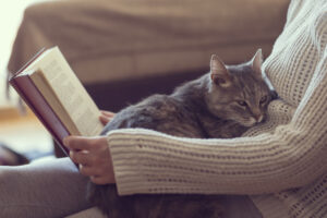 gato cinza deitado sobre uma mulher lendo um livro